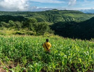 ANTONIO EN SU COAMIL
