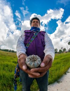 JOSÉ CON HIKURI (PEYOTE)