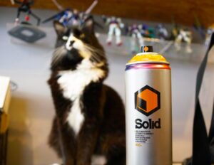 SOLID RELAUNCH_2