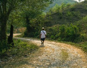 EL TERRERO PANTEPEC PUEBLA