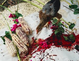 EL TERRERO PANTEPEC PUEBLA